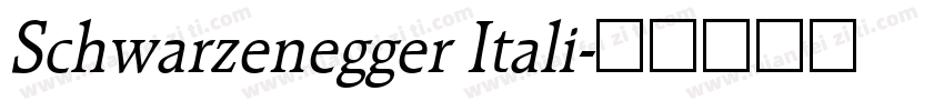 Schwarzenegger Itali字体转换